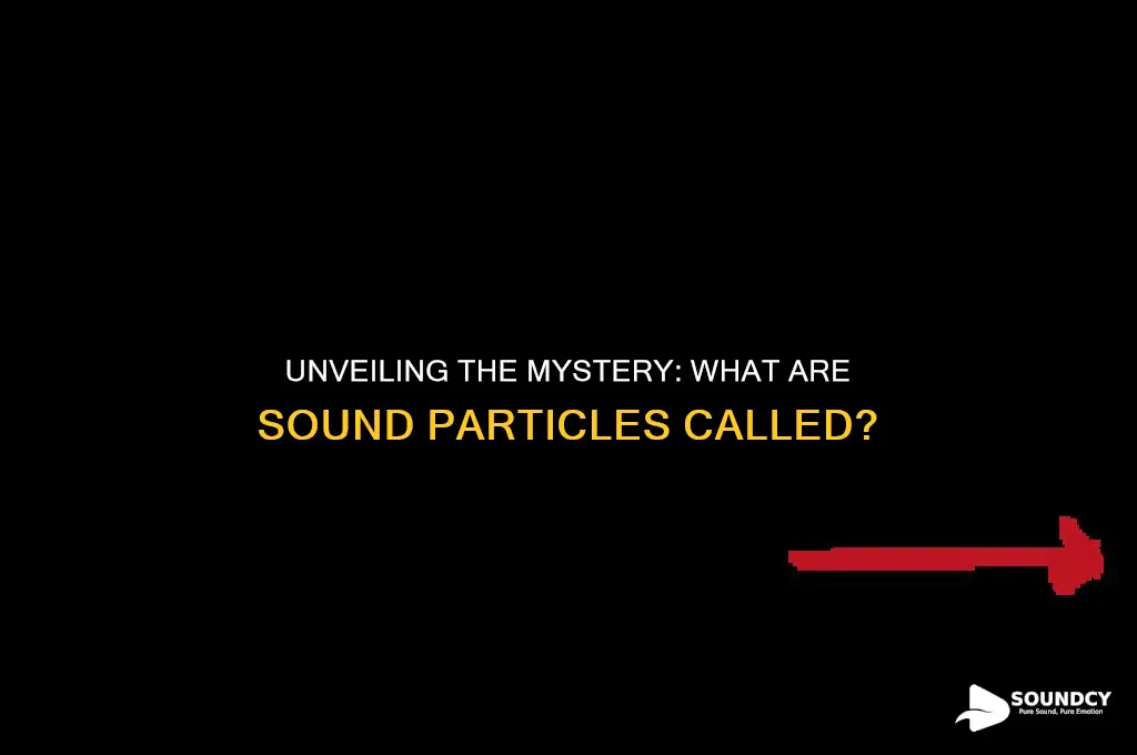what are sound particles called