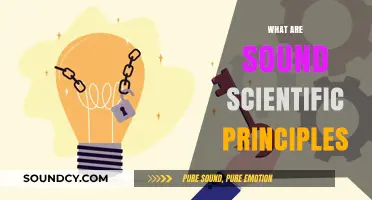 Understanding Sound Scientific Principles: Foundations for Reliable Research and Discovery