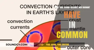 Unraveling the Mysteries: Sound, Seismic, and Radiant Waves Explained