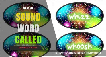 Exploring Onomatopoeia: The Fascinating World of Sound-Mimicking Words