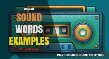 Exploring Sound Words: Examples of Onomatopoeia in Everyday Language