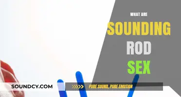 Exploring Sounding Rods: Understanding Their Use and Safety in Sexual Practices