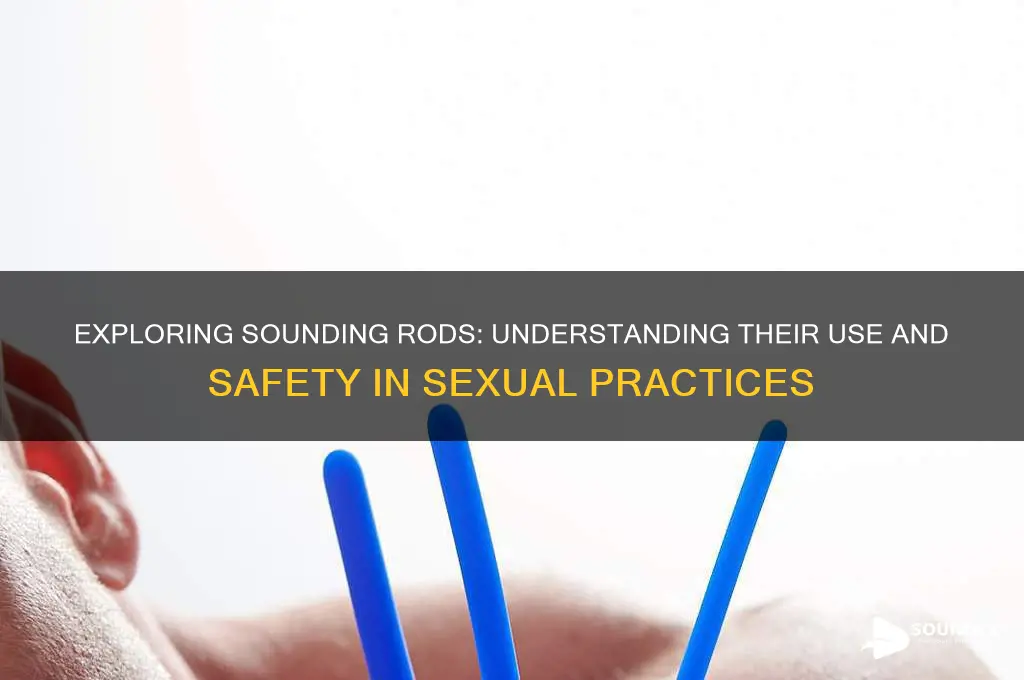 what are sounding rod sex
