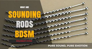 Exploring Sounding Rods in BDSM: Uses, Safety, and Sensations