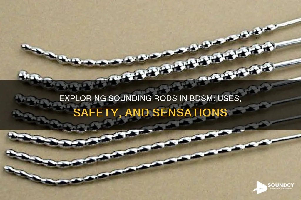 what are sounding rods bdsm