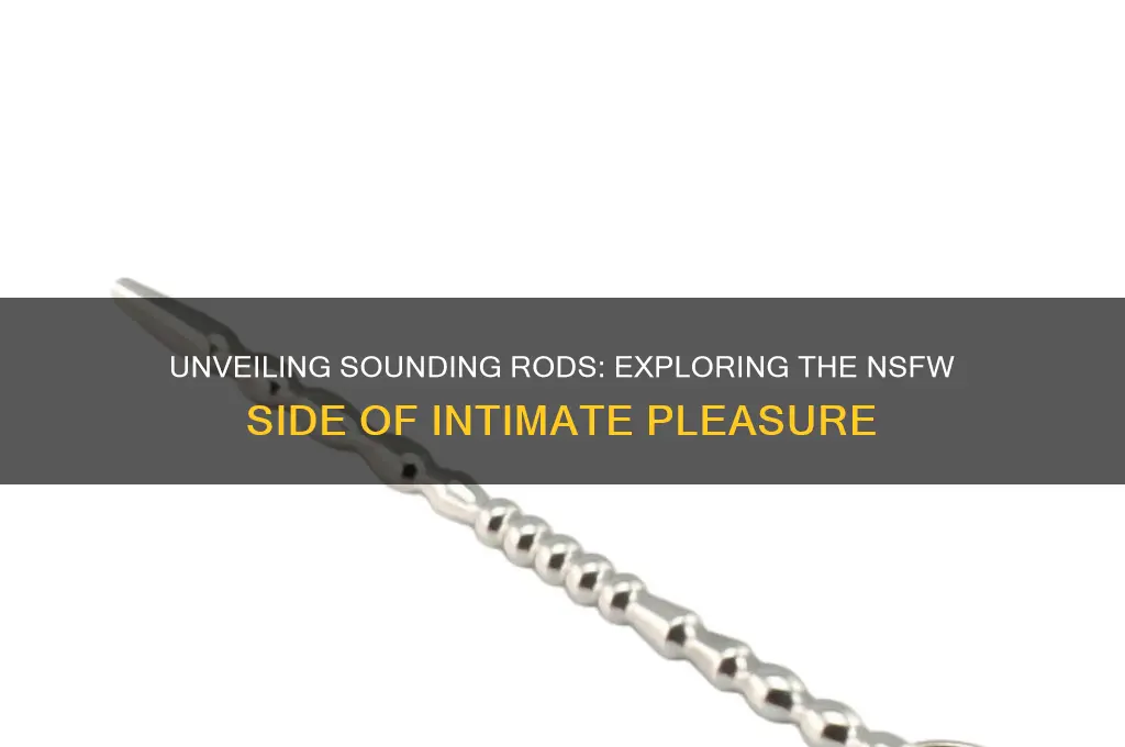 what are sounding rods nsfw