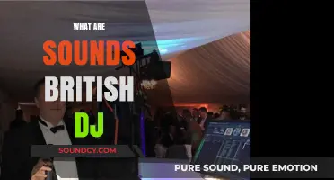 Exploring the Unique Sounds of British DJs: A Musical Journey