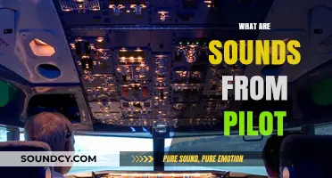 Decoding Pilot Sounds: Understanding Cockpit Communications and Alerts