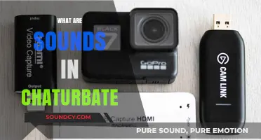 Exploring Chaturbate Sounds: Enhancing Your Streaming Experience with Audio Effects