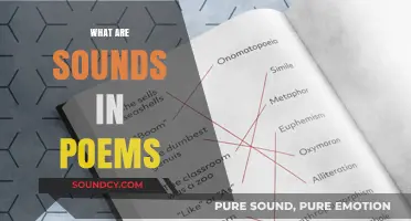 Exploring the Musical Magic: Understanding Sounds in Poetry