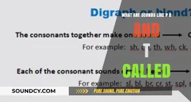 Exploring the Fascinating World of Consonants: A Linguistic Journey