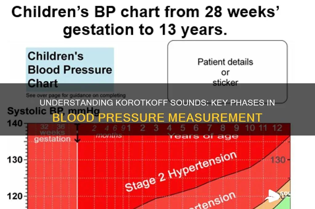 what are sounds of korotkoff