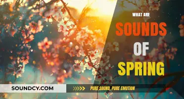 Spring's Awakening: Exploring the Vibrant Sounds of the Season