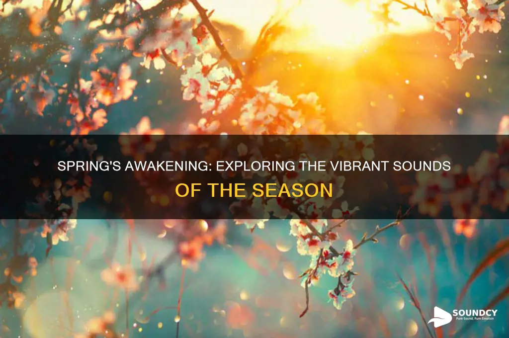 what are sounds of spring