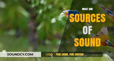 Exploring the Origins: Understanding the Diverse Sources of Sound