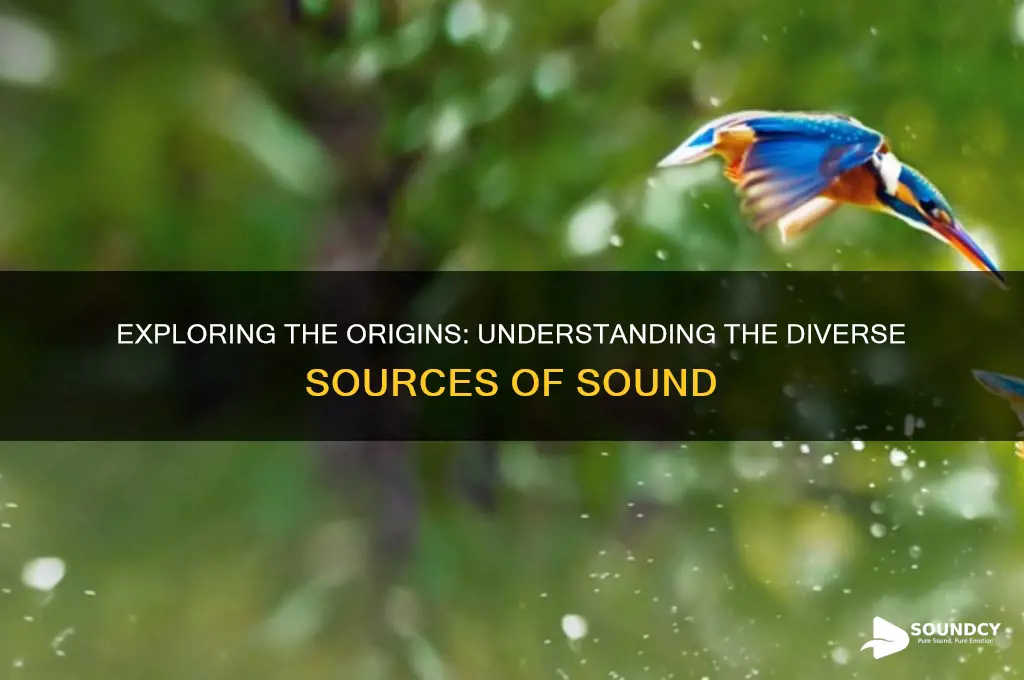 what are sources of sound