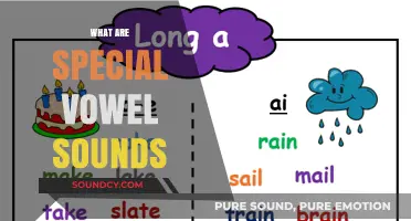 Exploring Unique Vowel Sounds: A Guide to Special Phonetic Pronunciations