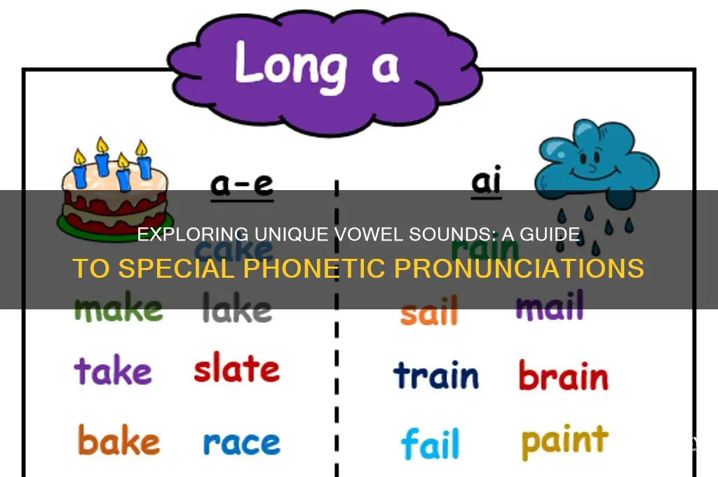 what are special vowel sounds