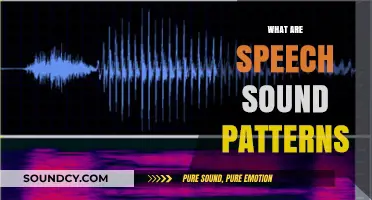 Understanding Speech Sound Patterns: A Comprehensive Guide to Phonology