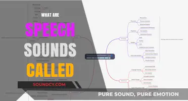 Understanding Speech Sounds: What Are They Called and How Do They Work?