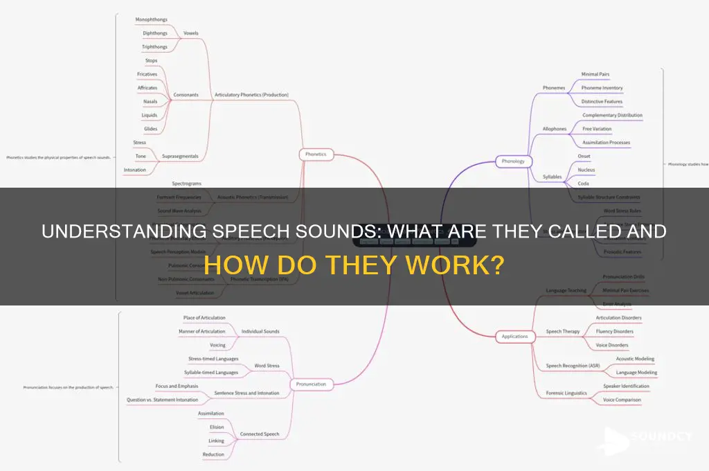 what are speech sounds called