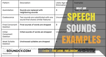 Exploring Speech Sounds: Examples and Their Role in Language