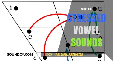 Understanding Stressed Vowel Sounds: A Comprehensive Guide to Pronunciation