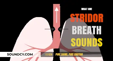 Understanding Stridor Breath Sounds: Causes, Symptoms, and Treatment Options