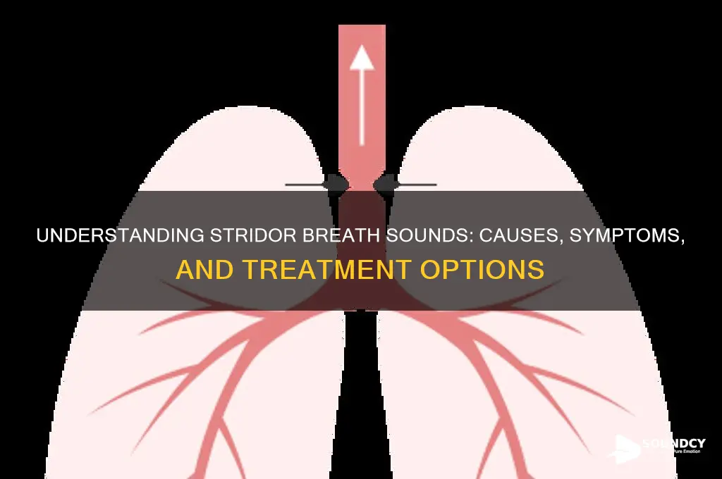 what are stridor breath sounds