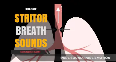 Understanding Stridor Breath Sounds: Causes, Symptoms, and Treatment Options