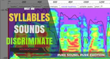 Understanding Syllable Sounds: How Discrimination Shapes Language and Communication