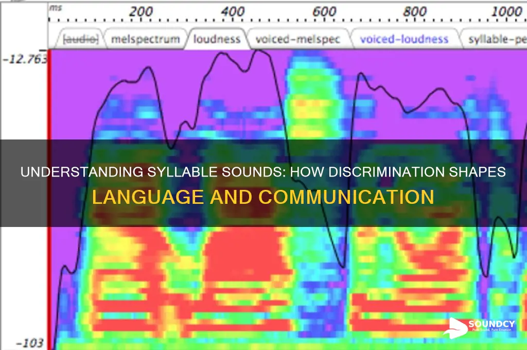 what are syllables sounds discriminate