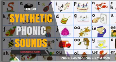 Understanding Synthetic Phonics: Decoding Sounds for Early Reading Success