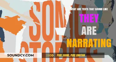 Echoes of Storytelling: Texts That Narrate with Sonic Precision