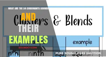 Exploring the 24 Consonant Sounds: Examples and Pronunciation Guide