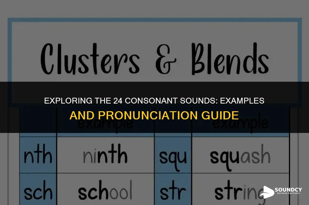 what are the 24 consonants sounds and their examples