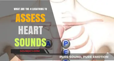 Exploring the Key Sites for Auscultating Cardiac Sounds