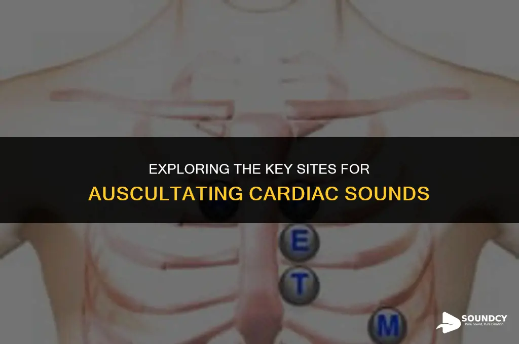 what are the 4 locations to assess heart sounds
