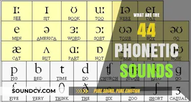 Mastering English: The 44 Phonetic Sounds