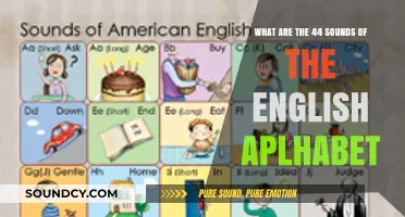 Exploring the Phonetic Diversity: The 44 Sounds of the English Alphabet