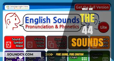 Exploring the 44 Phonetic Sounds of the English Language