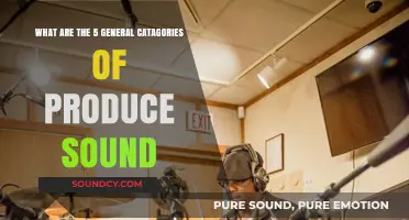 Exploring the Five Fundamental Categories of Sound Production
