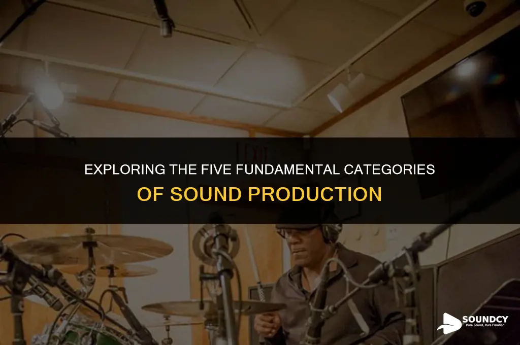 what are the 5 general catagories of produce sound