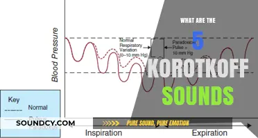 Korotkoff Sounds: The Five Phases of Blood Pressure Measurement