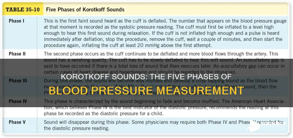 what are the 5 korotkoff sounds