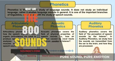 Exploring the 800 Sounds: Unlocking the Secrets of Phonetic Diversity