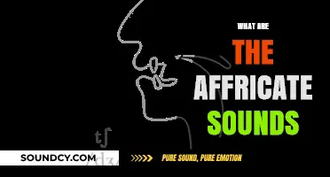 Understanding Affricate Sounds: A Comprehensive Guide to Their Formation and Use
