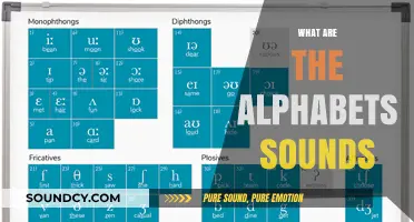 Mastering Alphabet Sounds: A Beginner's Guide to Phonics and Pronunciation