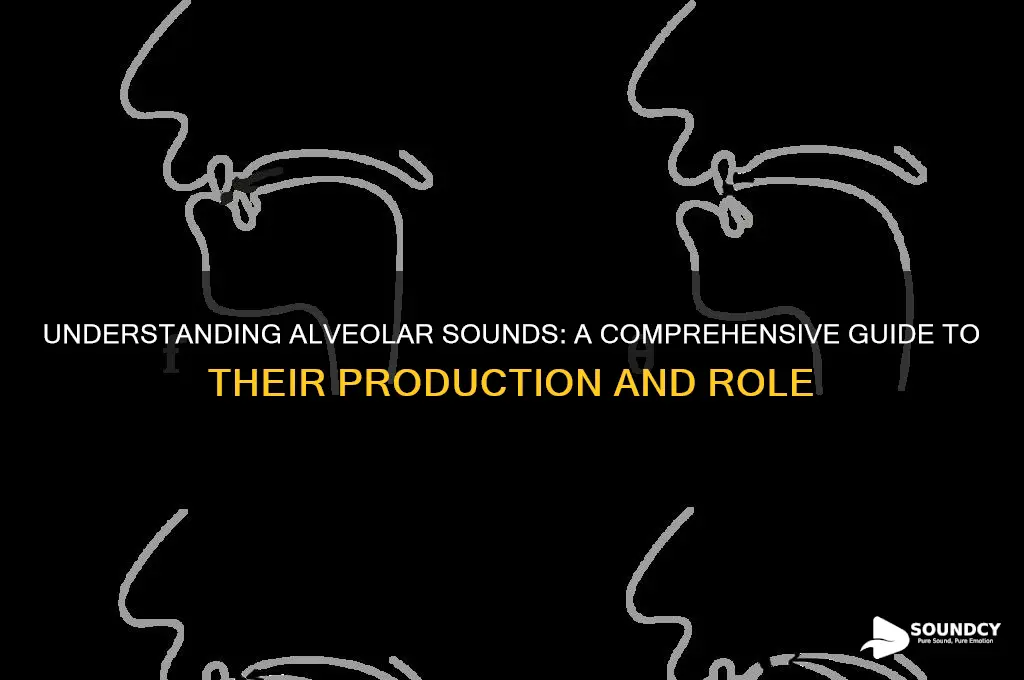 what are the alveolar sounds
