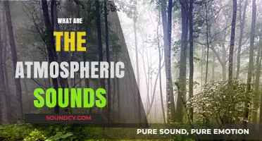 Exploring Atmospheric Sounds: Nature's Whispers and Earth's Sonic Wonders